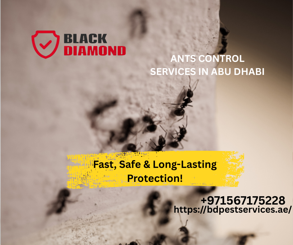 Black Diamond Pest Control Abu Dhabi