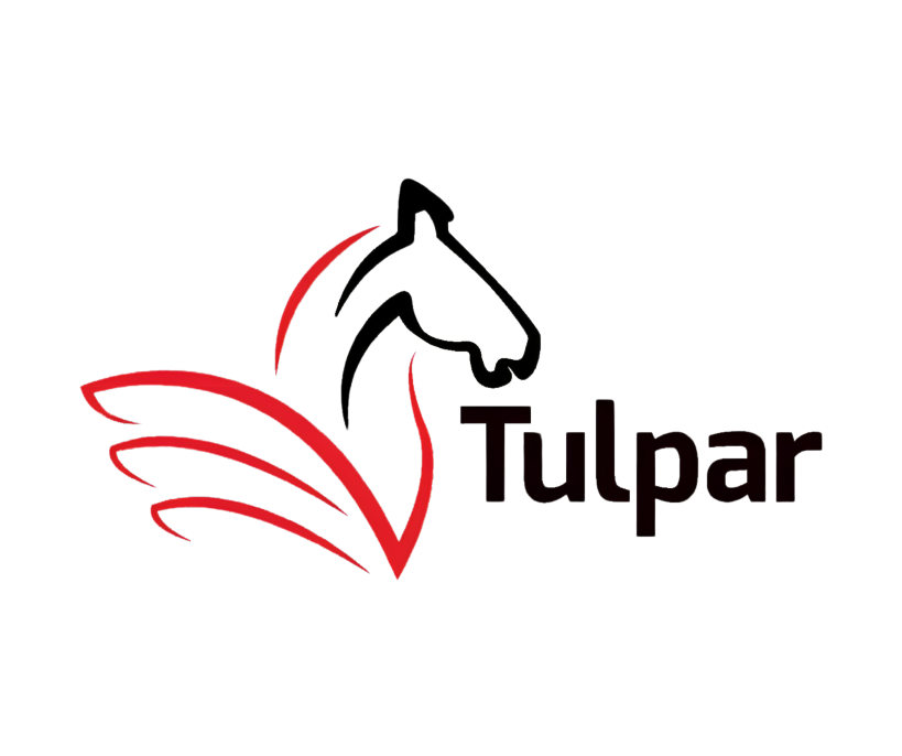 Tulpar Global Taxation