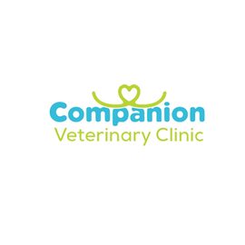 Preventive Pet Care: Keeping Your Pet Healthy for Life