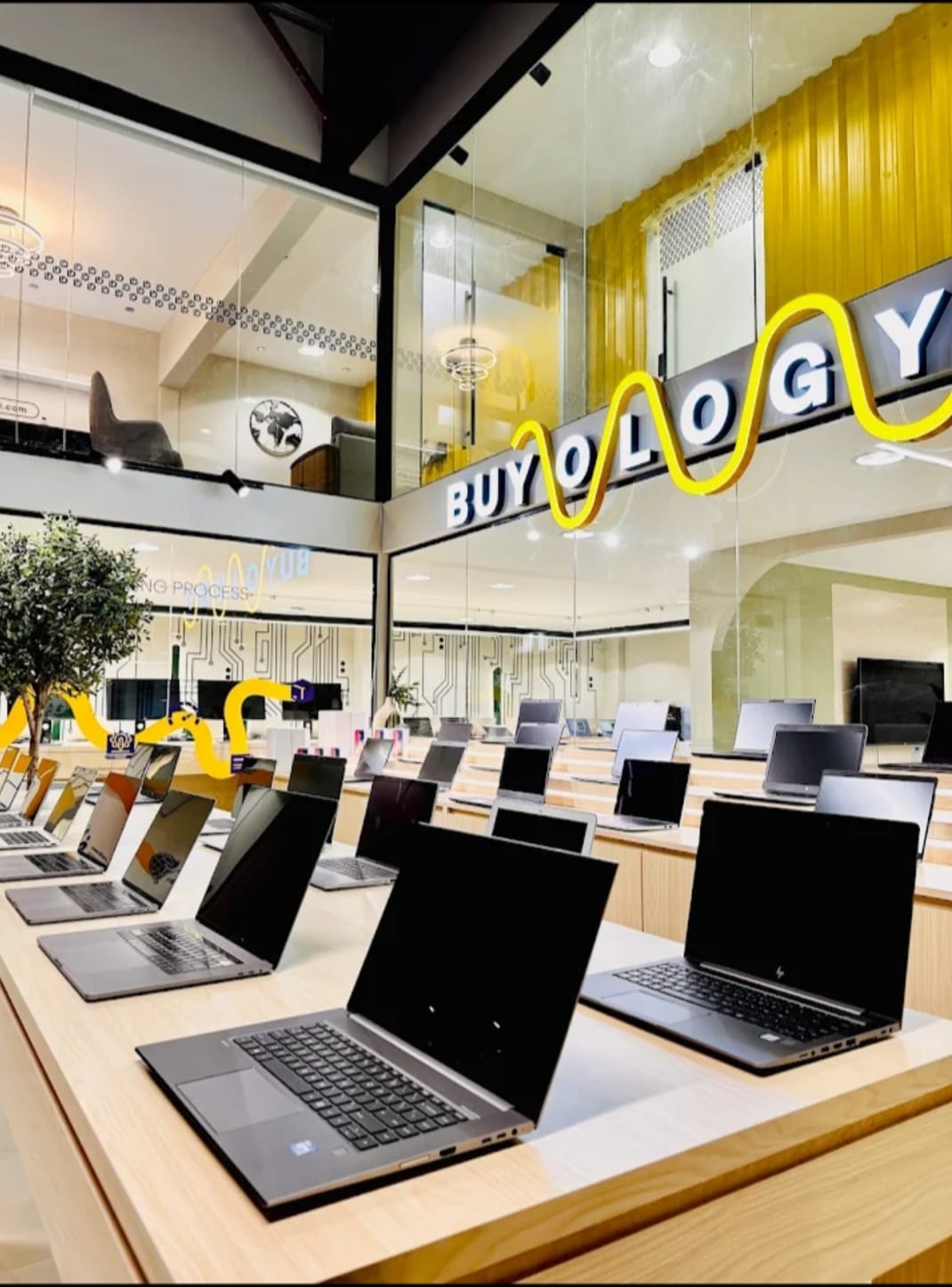 Buyology factory outlet